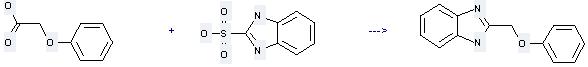1H-Benzimidazole,2-(phenoxymethyl)- can be prepared by 1H-benzoimidazole-2-sulfonic acid and phenoxyacetic acid
